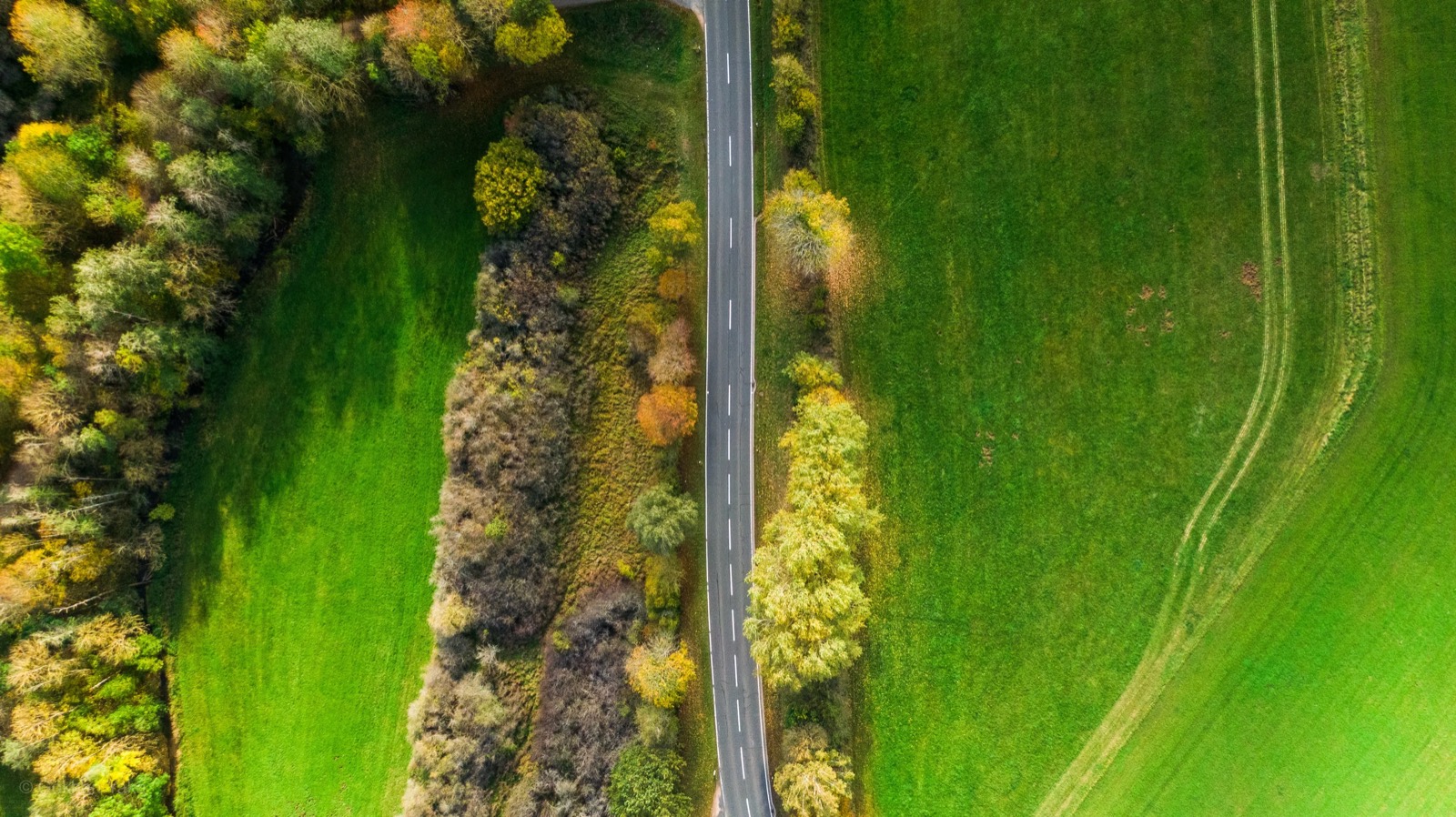 A dramatic coastline photographed from above