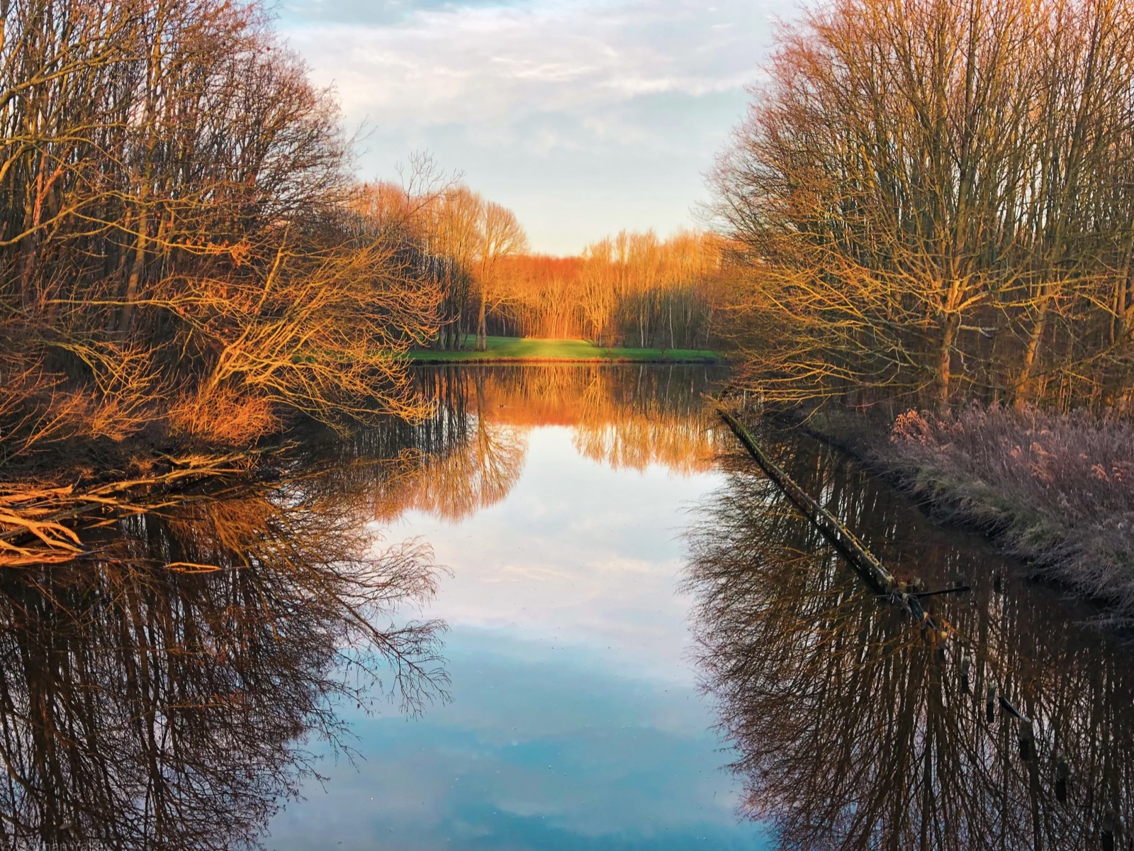 Nature from a different perspective